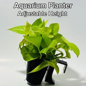 Hydroponic Aquarium Planter | Adjustable Height