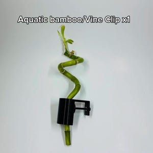 Aquatic Bamboo/Vine Clip x1