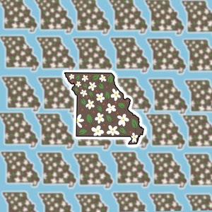 Missouri Sticker