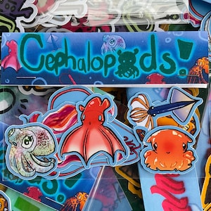 Puede incluir: Una colección de pegatinas de cefalópodos coloridos en una bolsa de plástico transparente. Las pegatinas presentan varios cefalópodos, incluidos calamares, pulpos y sepias, en diferentes poses y diseños. Las pegatinas son perfectas para agregar un toque de fantasía a las computadoras portátiles, las botellas de agua o los diarios.