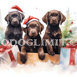 Christmas Watercolor Style Note Cards - Dog Lovers (Set of 10)