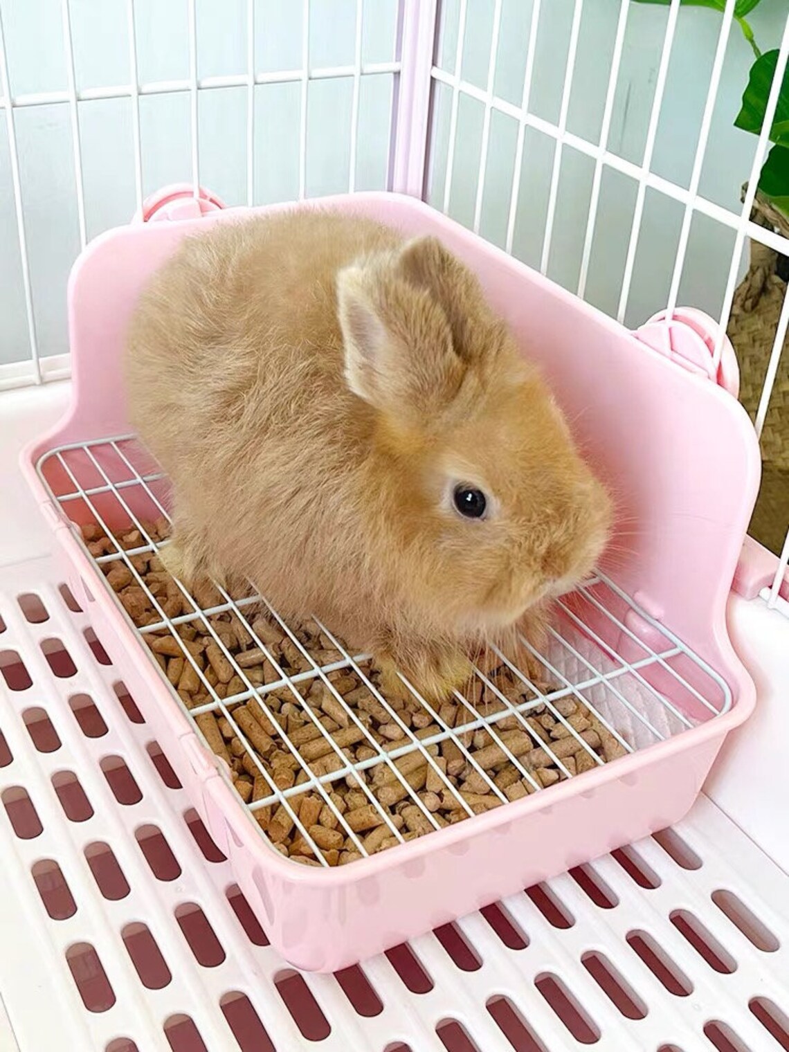 Bunny Litter Box With Grate, Rabbit Corner Litter Pan, Pet Toilet Potty