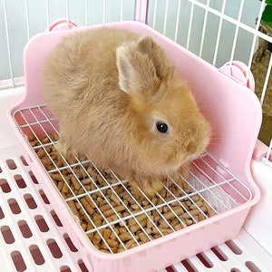 May include: A pink plastic rabbit litter box with a brown rabbit inside. The litter box has a wire grid on the bottom and is filled with wood shavings.