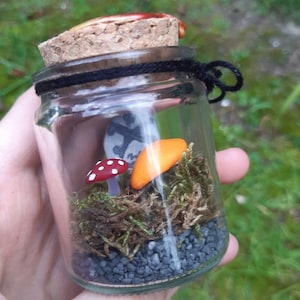 Tiny Terrarium