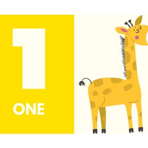 Flashcards EN - Colorful numbers 1-9