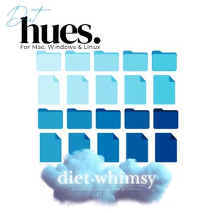 Op de afbeelding: Een grafisch ontwerp voor een softwareprogramma genaamd "diet.whimsy" dat kleurpaletten zonder compromissen biedt. Het ontwerp toont een wolk met de programmanaam en een raster van blauwe en lichtblauwe vierkanten.