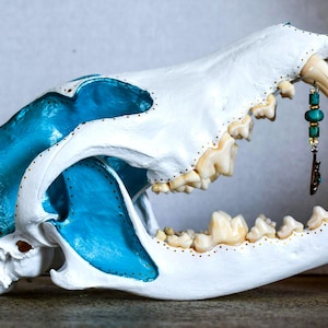 Hand Painted Turquoise Coyote