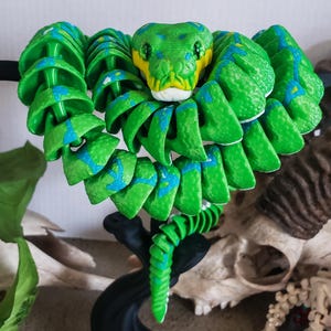 Può includere: Un serpente verde stampato in 3D con segni blu e gialli. Il serpente è arrotolato a forma di cuore. Il serpente è su un supporto nero.