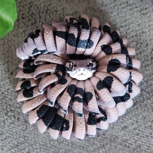 Può includere: Una scultura circolare dettagliata di un serpente. Il corpo è beige con macchie nere e ventre bianco. La testa del serpente è al centro. Lo sfondo è strutturato e di colore neutro.