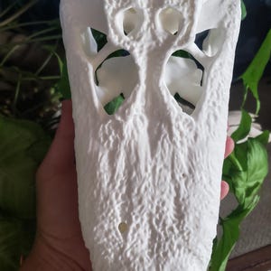 Alligator Skull Replica