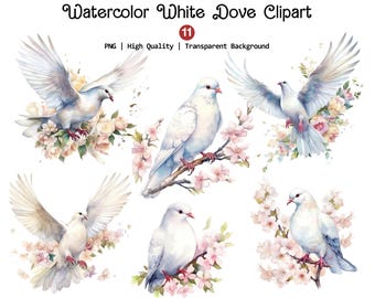 白い鳩のクリップアート：平和の鳥 PNG、結婚式のイラスト（デジタル