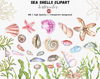 Imágenes prediseñadas de conchas marinas, conchas marinas únicas PNG, imágenes prediseñadas de playa oceánica en acuarela, temática náutica, conchas submarinas PNG