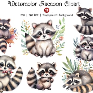 Clipart aquarelle de raton laveur, mignons ratons laveurs Png, animaux de la forêt Clip Art, petits ratons laveurs uniques, téléchargement immédiat