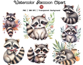 Watercolor Raccoon Clipart, Cute Raccoons Png, Woodland Animals Clip Art, Unique Little Raccoons, Instant Download
