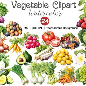 Watercolor Vegetable Clipart, Unique Vegetables PNG File, 24 High Quality Graphics, Food Clipart, Farmers Market