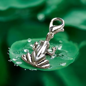 May include: Silver charm of a frog sitting on a green leaf. The frog has a detailed design and is attached to a silver clasp.