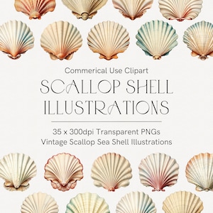 Puede incluir: Ilustraciones vintage de conchas de vieira en tonos crema, rojo y azul. La imagen incluye el texto "SCALLOP SHELL ILLUSTRATIONS" y "35 x 300dpi Transparent PNGs".