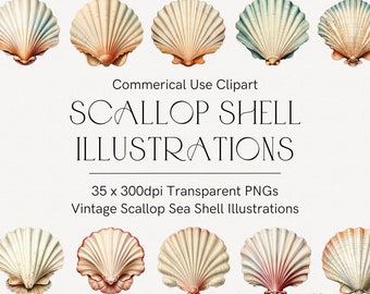 Vintage illustration snäckskal clipart, Gratulerade snäckor, Nautiskt tema, Havsskal png, Kustdekor, Hav clipart, Hav clipart, Strand