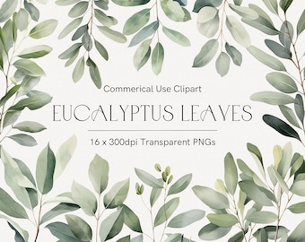 May include: Watercolor eucalyptus leaves in shades of green and gray, arranged in a decorative pattern. The image includes the text "Commercial Use Clipart" and "Eucalyptus Leaves", along with "16 x 300dpi Transparent PNGs".