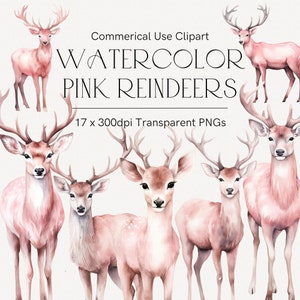 Rosa Rentiere Clipart, Mädchen Weihnachten, Rosa Weihnachten, Rosa Winter Clipart, Aquarell Weihnachten, Pastell Rentier Bündel, Transparentes Png