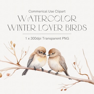 Imágenes prediseñadas de pájaros de acuarela, pájaros de invierno, pájaros lindos, pájaros del amor en la rama, imágenes prediseñadas de vivero, tarjeta vintage del día de San Valentín, imágenes prediseñadas románticas
