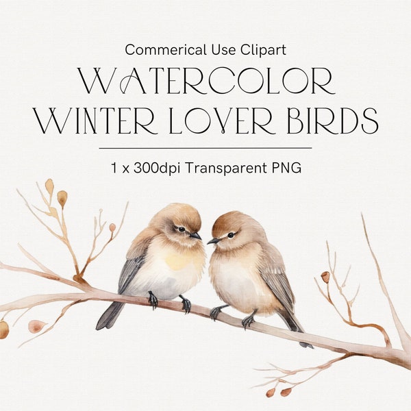 Watercolor birds clipart, Winter birds, Cute birds, Love birds on branch, Nursery clipart, Vintage Valentine's Day card, Romantic clipart