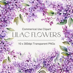 Clipart de flor lilás, clipart de flores roxas, flores em aquarela, clipart lilás, flores de casamento, clipart floral de primavera, buquê de casamento