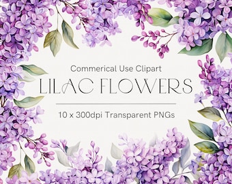 Syrenblomma clipart, Lila blommor clipart, Akvarellblommor, Syren clipart, Bröllopsblommor, Vårblommor clipart, Bröllopsbukett