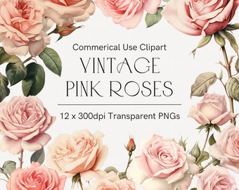 Rosa Rosen Clipart, Valentinstag, Aquarell Blume, Hochzeitsblumen, Frühling Clipart png, Rosa Blume, Blumen Clipart, Vintage Rosen