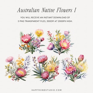 May include: Five watercolor illustrations of Australian native flowers, including pink and yellow proteas, yellow wattle, and other native foliage. The illustrations are on a white background.