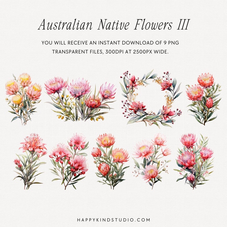 May include: Nine watercolor illustrations of Australian native flowers, including pink and red proteas, eucalyptus leaves, and other floral elements. The illustrations are on a white background.