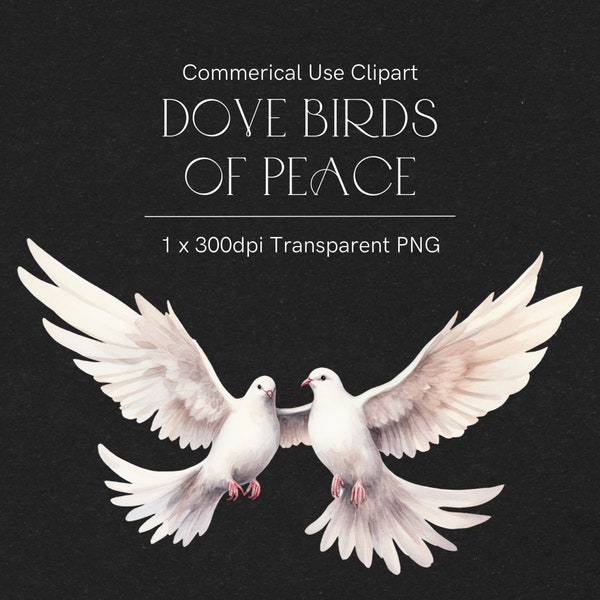 White dove birds clipart, Wedding dove birds, Vintage Valentine's Day, Doves of peace, Romantic birds, Flying doves, Watercolor dove 190