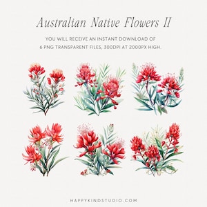 May include: Six watercolor illustrations of Australian native flowers with red blossoms and green leaves. The flowers are arranged in a grid pattern on a white background. The text "Australian Native Flowers II" is at the top of the image. The text "YOU WILL RECEIVE AN INSTANT DOWNLOAD OF 6 PNG TRANSPARENT FILES, 300DPI AT 2000PX HIGH." is below the image.