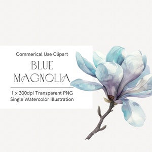 Magnolie Aquarell Clipart, handgemalte blaue Blume PNG für Hochzeitseinladungen, Aquarell Blumen digitaler Download, kommerzielle Nutzung 359