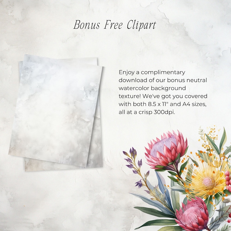 May include: Two sheets of white watercolor paper with a subtle gray texture. The paper is stacked on top of each other. The background is a light gray with a subtle texture. The text "Bonus Free Clipart" is at the top of the image. The text below the paper reads "Enjoy a complimentary download of our bonus neutral watercolor background texture! We've got you covered with both 8.5 x 11" and A4 sizes, all at a crisp 300dpi."