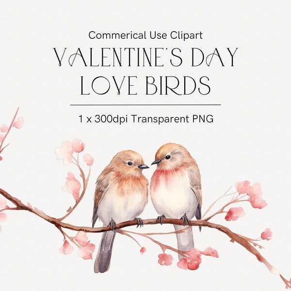 Aquarelle oiseaux clipart, inséparables sur une branche, clipart de chambre d'enfant, clipart carte de Saint-Valentin vintage, clipart romantique, fleurs de cerisier