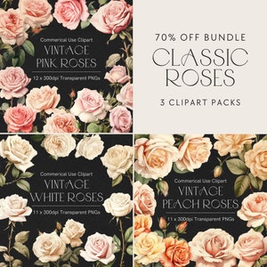 Rose Clipart Bundle, Aquarell rosa Rose, Blumen Clipart, Hochzeit Clipart, 327 Clip Art Dateien