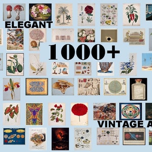 1000+ Printable Vintage Gallery Wall Art SET | Eclectic Gallery Set | Eclectic Gallery Wall Decor | 1129