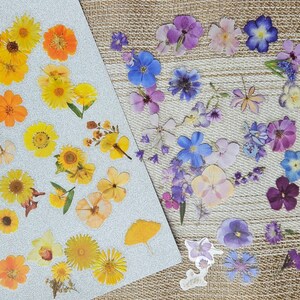 Kawai Flower Sticker for Laptop, Scrapbooking, Planner, Album, Art, etc 20 Pcs Pet Stickers