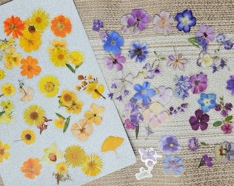 Kawai Flower Sticker for Laptop, Scrapbooking, Planner, Album, Art, etc 20 Pcs Pet Stickers