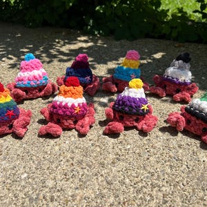 Pride Hermit Crab Amigurumi/Crochet Plush, Handmade! Choose Your Flag!