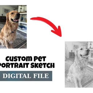 Op de afbeelding: Een golden retriever hond wordt getoond in een kleurenfoto en een potloodschets. De tekst "CUSTOM PET PORTRAIT SKETCH" staat boven de tekst "DIGITAL FILE" in een grijze rechthoek. De hond zit op een patroonkleed.
