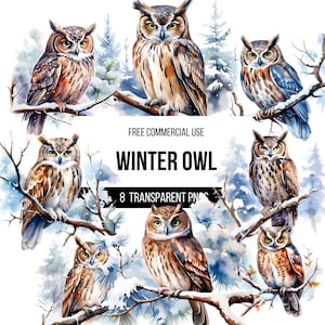 Watercolor Winter Owl Clipart - 8 High Quality Transparent PNGs | Snowy Nature Illustration | Design, Digital Download
