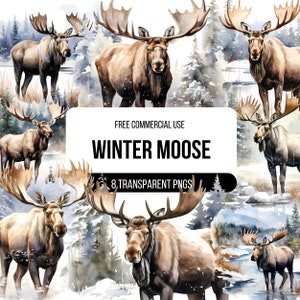 Watercolor Winter Moose Clipart - 8 High Quality Transparent PNGs | Snowy Nature Illustration | Designs, Digital Download