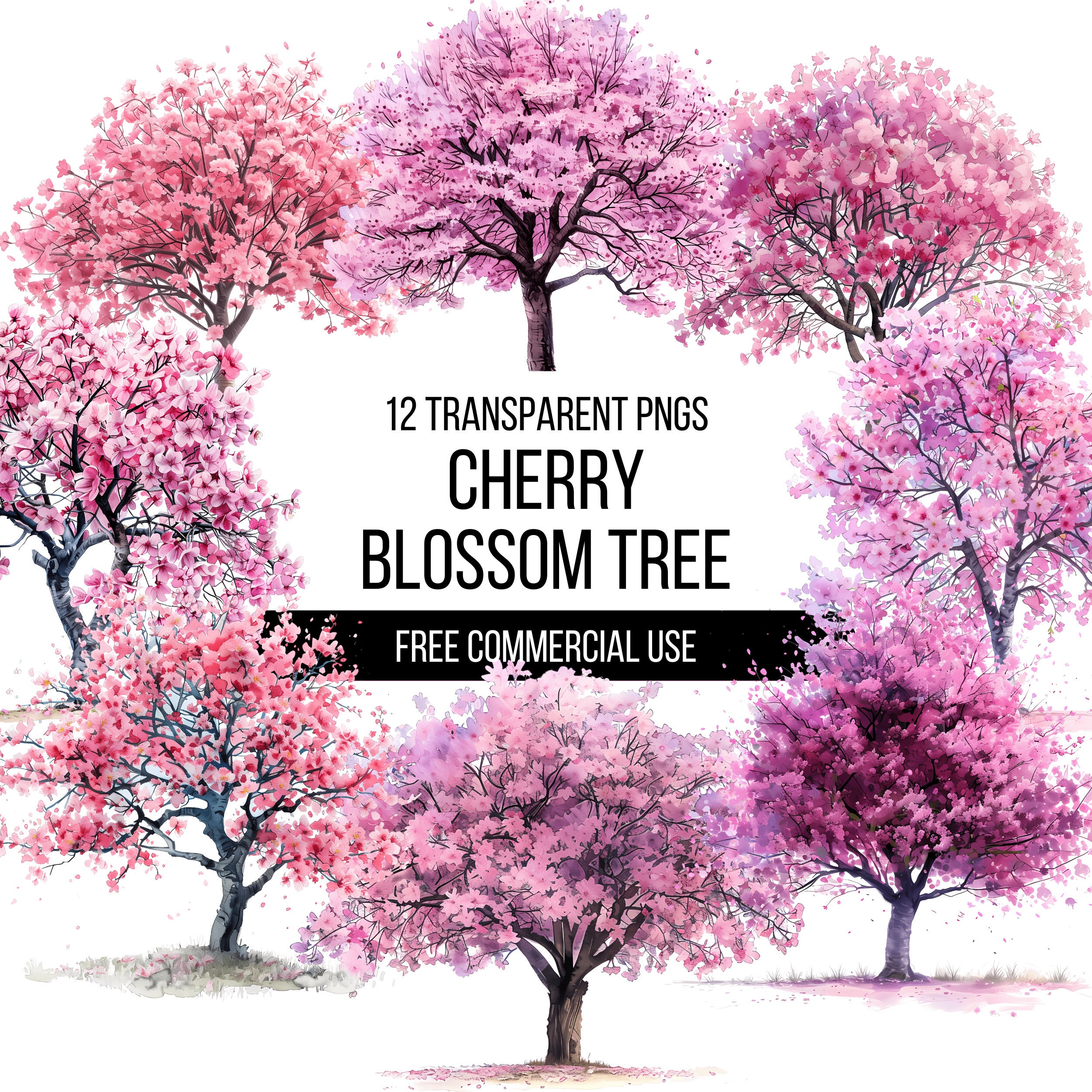 Cherry Blossom Sakura Tree Clipart - 12 High Quality Transparent Pngs ...