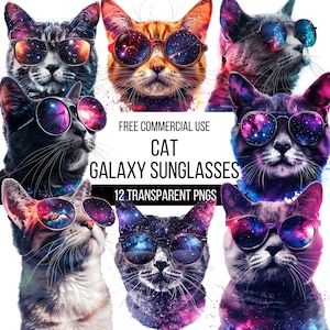 Kat in Galaxy zonnebril clipart-12 hoge kwaliteit transparante PNG's | Schattige dierenkosmische illustratie | Digitale download | Ontwerpen