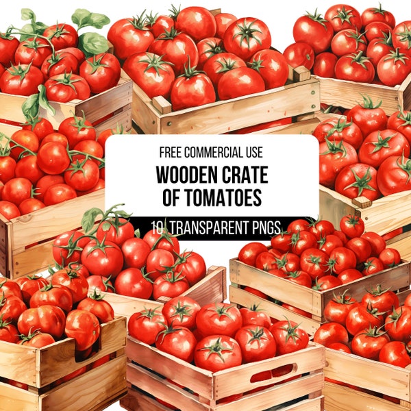 Wooden Crate of Fresh Tomatoes Clipart - 10 High Quality Transparent PNGs | Vegan Illustration | Designs | Digital Download
