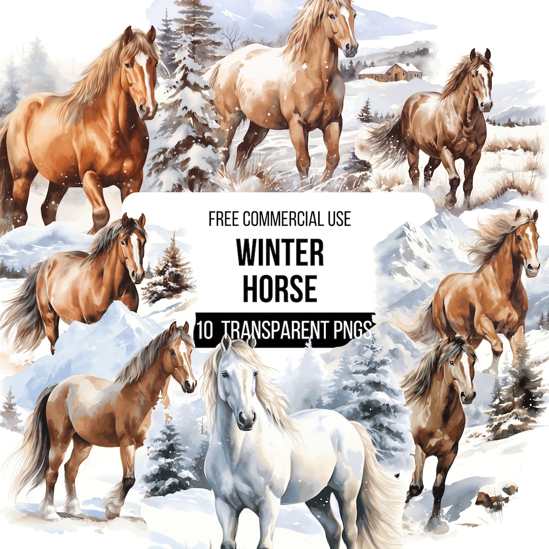 Winter Horse Watercolor Clipart - 10 High Quality Jpges | Illustrations ...