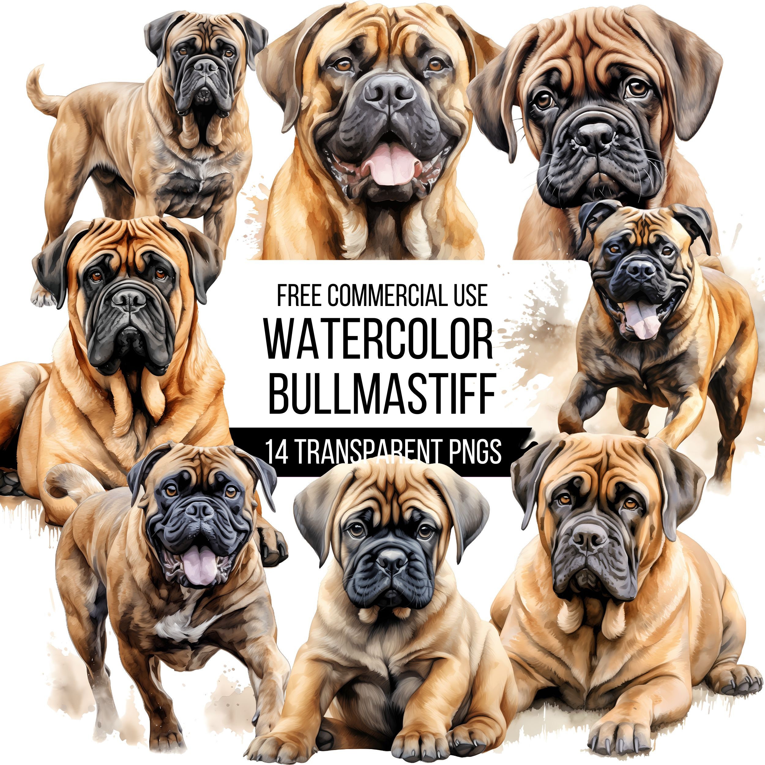 Watercolor Bullmastiff Clipart 14 High Quality Transparent Pngs