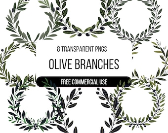 Olive Branches Clipart - 8 PNG transparentes de alta calidad / Ilustración / Descarga digital / Diseños para camisetas, pegatinas y más